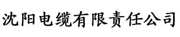 富2代最新网址电缆厂logo